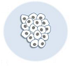 強凝集細胞、マイクロキャリア培養細胞のトータルカウント